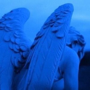 Meet your Posher, Jillian